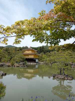 Тур: Япония с Востока на Запад TYO-TYO - осень 2024