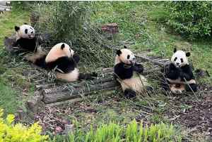 Тур: Цветущий Китай и горы Аватар