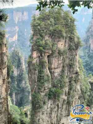 Тур:  Чэнду - Чунцин - Чжанцзяцзе, горы Аватар с Авиа из СПб