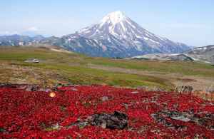 Тур: Осенние краски страны вулканов