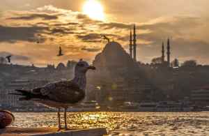 Тур: Мини-тур в Стамбул