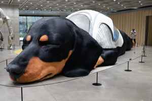 Сеул - фотографии - 4