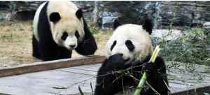 Пекин - фотографии - 3