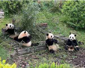 Китай - фотографии - 1