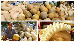 Самарканд - фотографии - 1