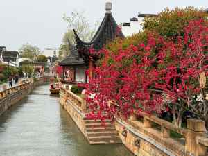 Шанхай - фотографии - 3